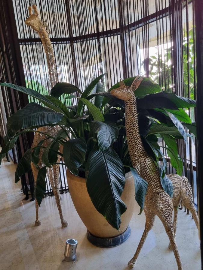 Royal Beach Apartment Barcello G Слънчев бряг Екстериор снимка